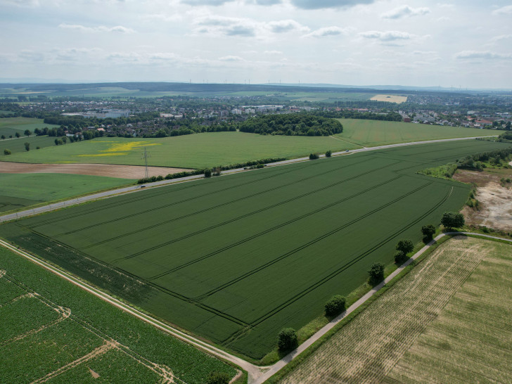 Wir gehen der Frage nach: Heißt es Wendesser Berg oder Wendessener Berg? 