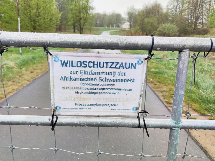 Wildschutzzaun gegen Afrikanische Schweinepest (Archiv)
