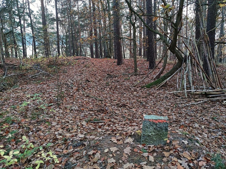 Wald (Archiv)