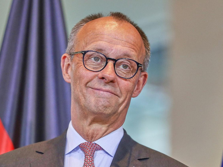 Friedrich Merz (Archiv)