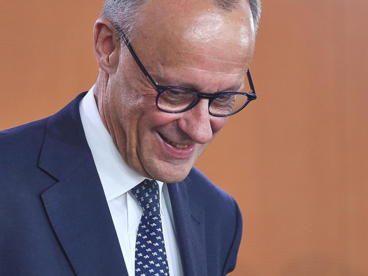 Friedrich Merz (Archiv)