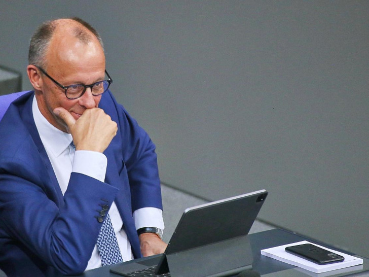 Friedrich Merz am 04.06.2025