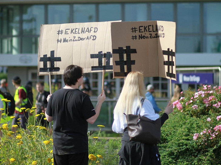 Protest gegen die AfD (Archiv)