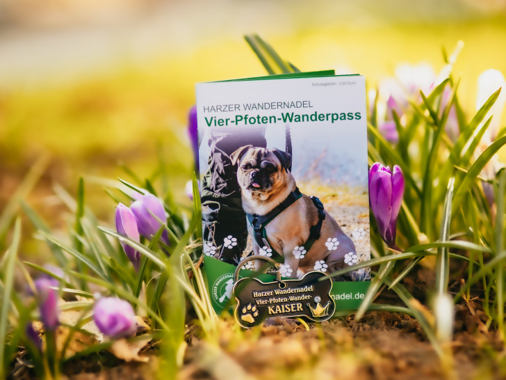Wandern mit Hund ist im Harz längst keine Seltenheit mehr – jetzt gibt es auch den passenden Stempelpass für die vierbeinigen Begleiter: den Vier-Pfoten-Wanderpass.