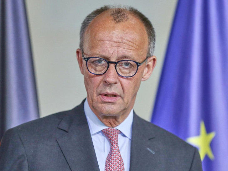 Friedrich Merz (Archiv)