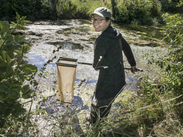 Dr. Diana Goertzen in ihrem Element – dem Wasser. Die Diplom-Biologin der TU Braunschweig untersucht die Gewässergüte in den städtischen Flüssen und Bächen. Der jüngste Bericht zeigt: Den Braunschweiger Fließgewässern geht es gut.
