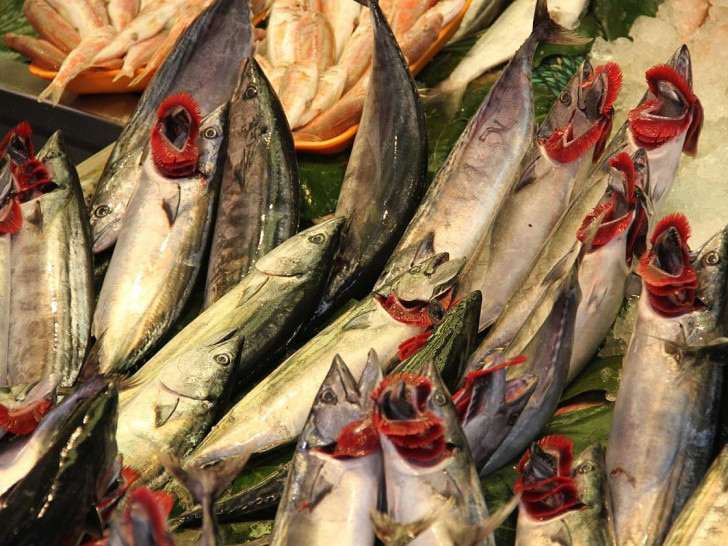 Fische (Archiv)