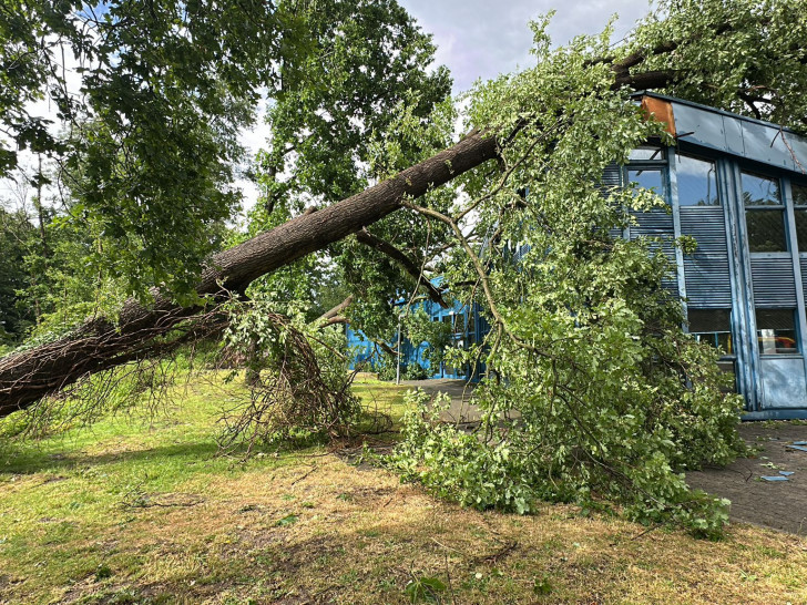 Ein schweres Unwetter hat am Donnerstag die Gemeinde Lehre getroffen.