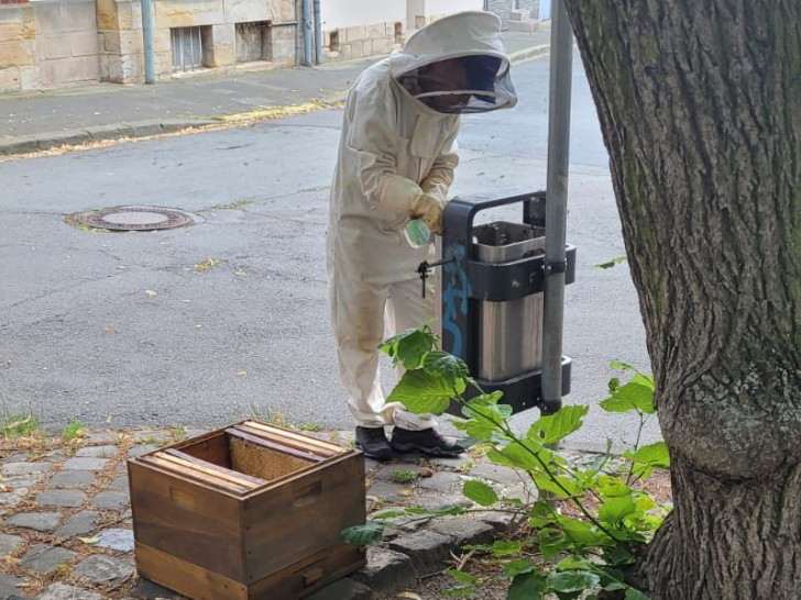 Die Bienen hatten sich einen ungünstigen Ort ausgesucht.