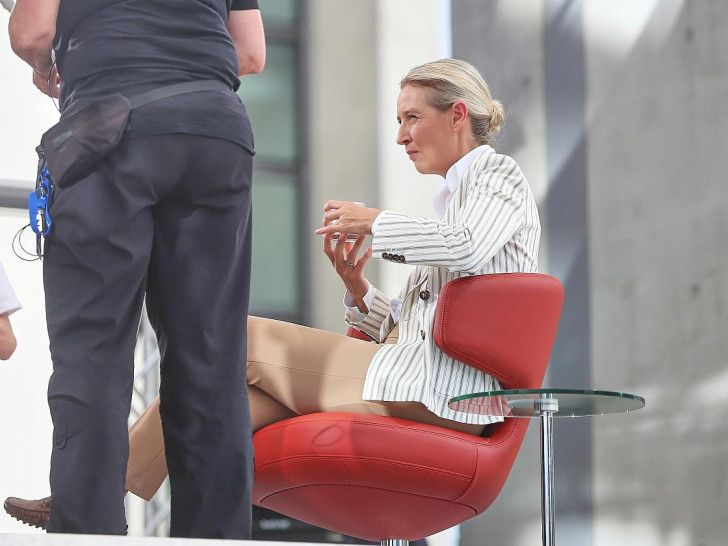 Alice Weidel am 20.07.2025
