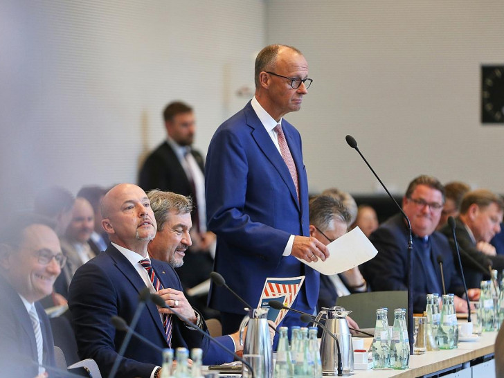Friedrich Merz in der Unionsfraktion (Archiv)