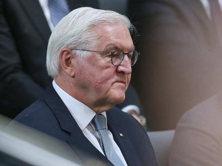 Frank-Walter Steinmeier (Archiv)
