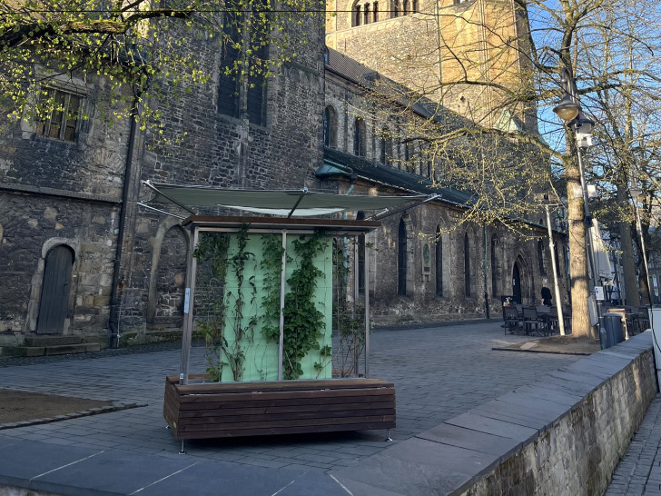 Die "Grüne Bank" an der Marktkirche lädt zum Verweilen im kühlen Schatten ein.