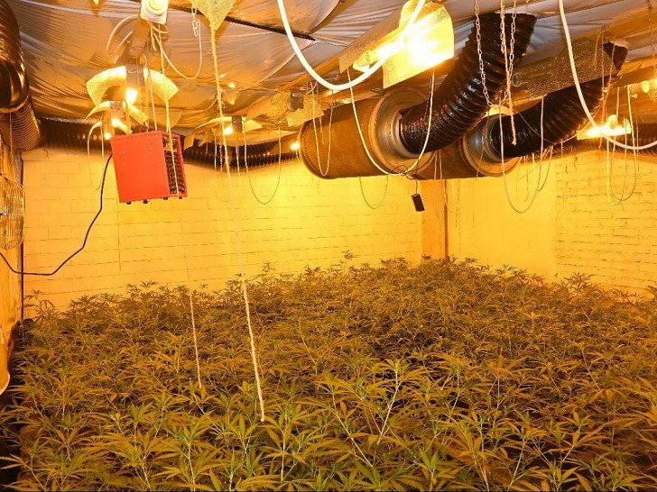 Plantage (Archiv)