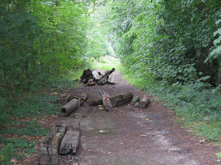 Sondermüll Hackfeld (Archiv)