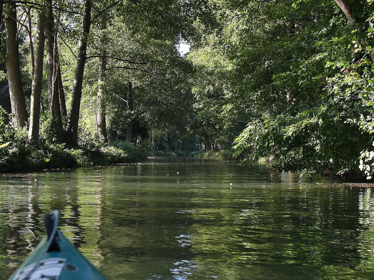 Spreewald (Archiv)