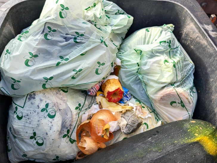 Sind kein Vorteil für die Umwelt: Bioplastikbeutel. Stattdessen Zeitungspapier oder kompostierbare Papiertüten verwenden. 
