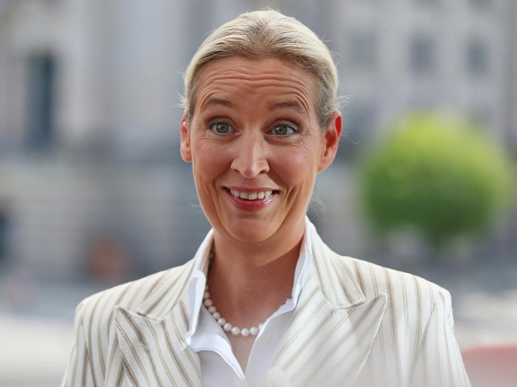 Alice Weidel am 20.07.2025