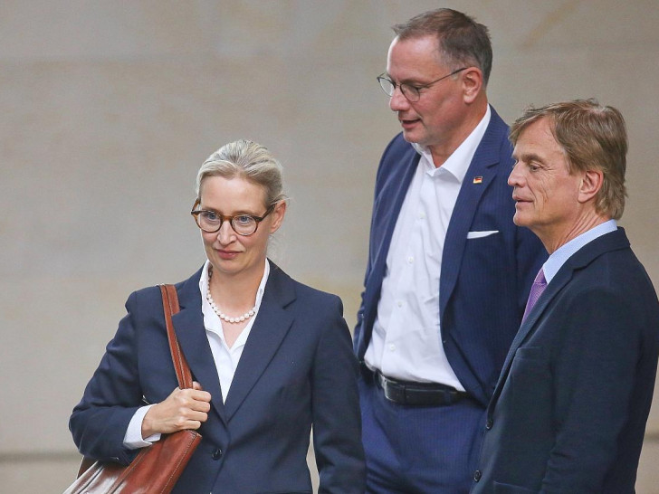 Alice Weidel, Tino Chrupalla und Bernd Baumann (Archiv)