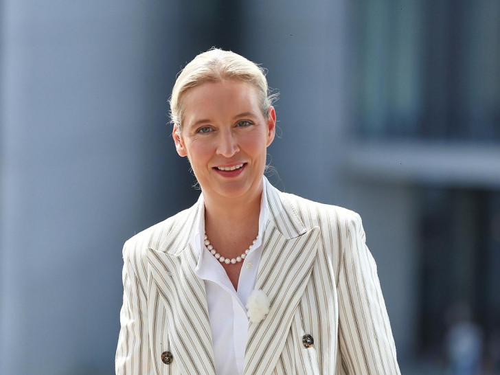 Alice Weidel (Archiv)