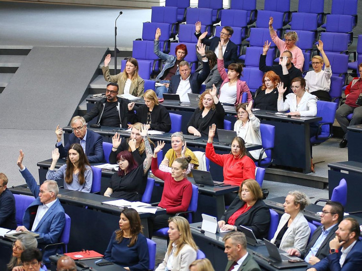 Linke-Bundestagsfraktion (Archiv)