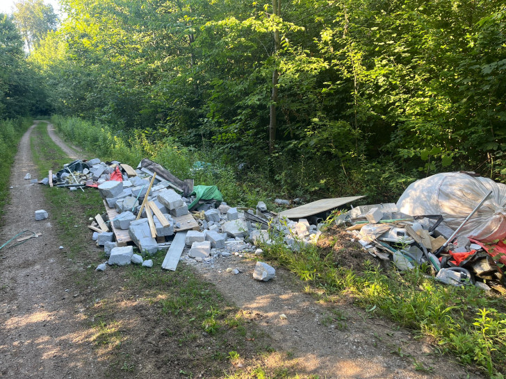 Immer häufiger wird Abfall im Wald entsorgt.