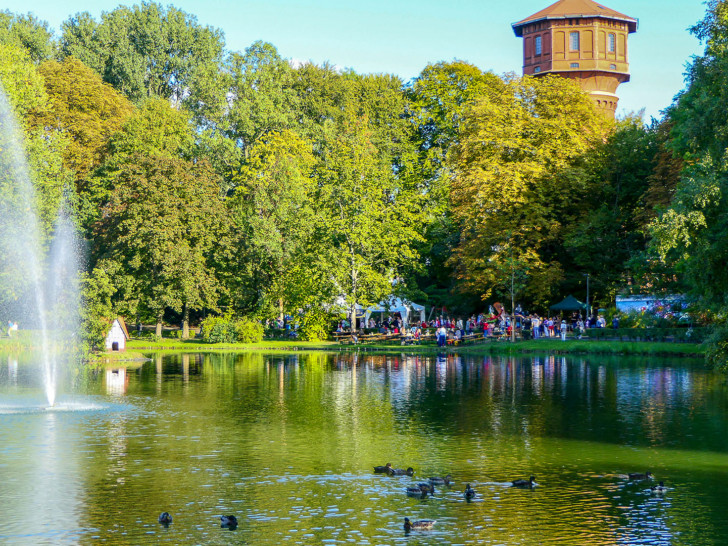 Zahlreiche Enten leben auch am Stadtgraben.