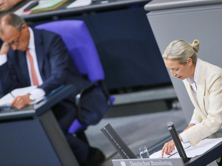 Friedrich Merz und Alice Weidel (AfD) (Archiv)