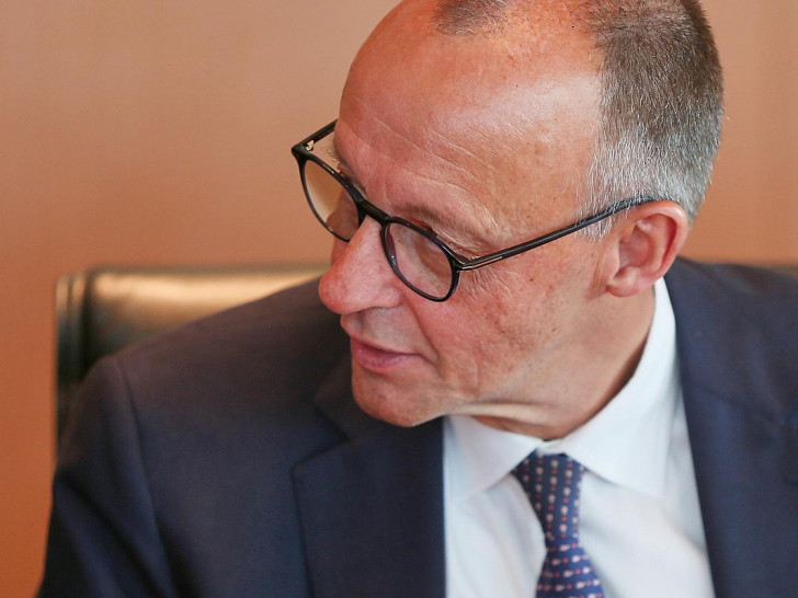 Friedrich Merz (Archiv)