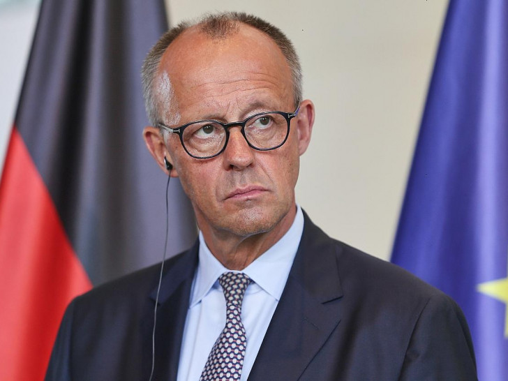Friedrich Merz (Archiv)