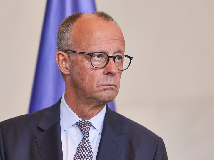 Friedrich Merz (Archiv)