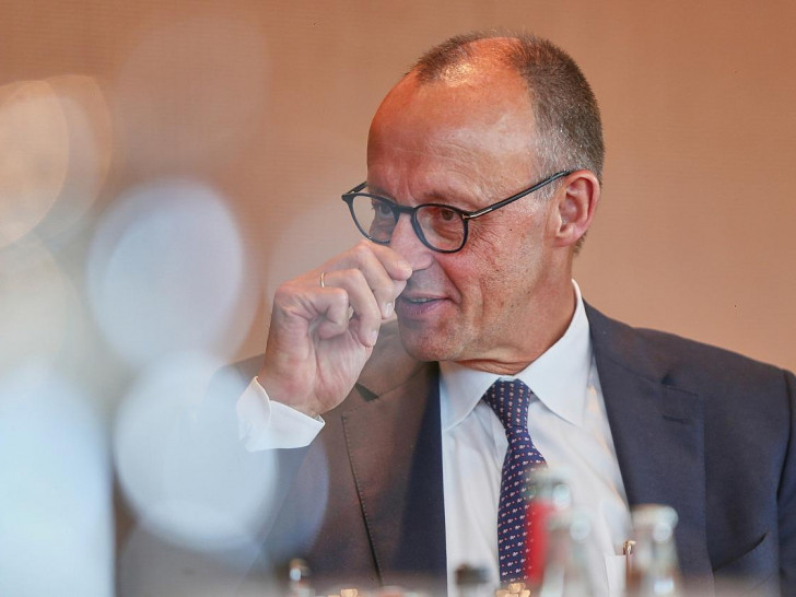 Friedrich Merz (Archiv)