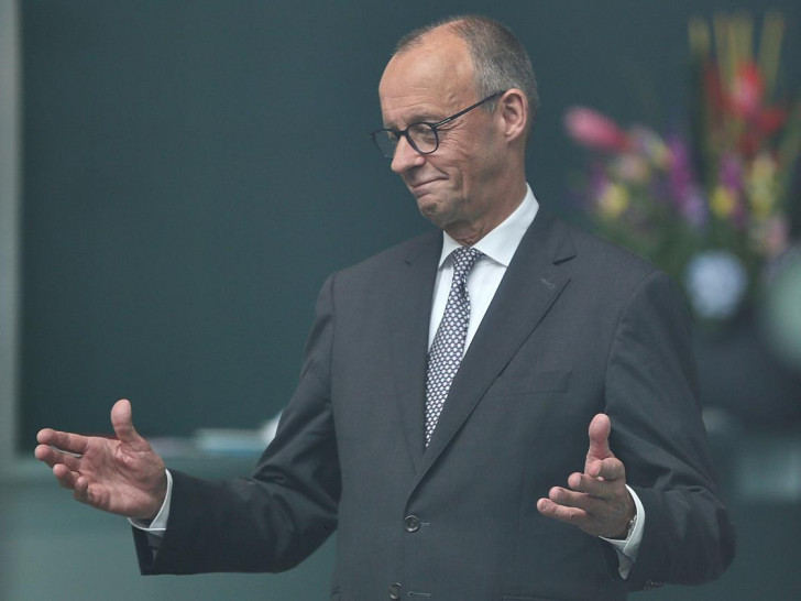Friedrich Merz (Archiv)