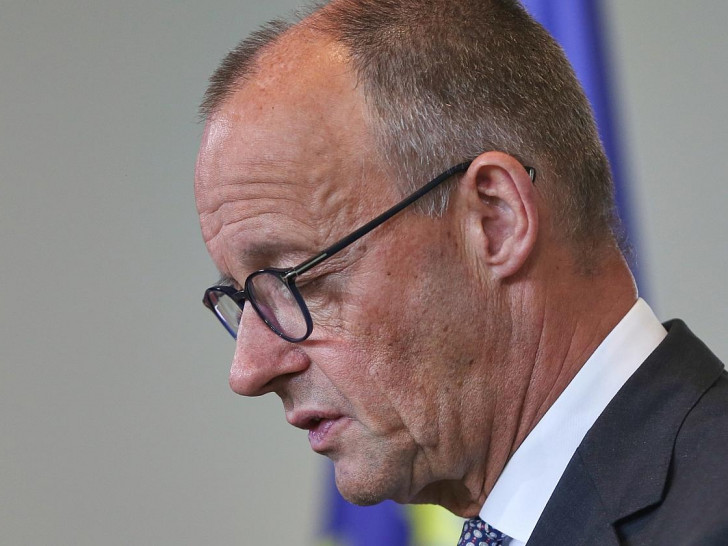 Friedrich Merz (Archiv)