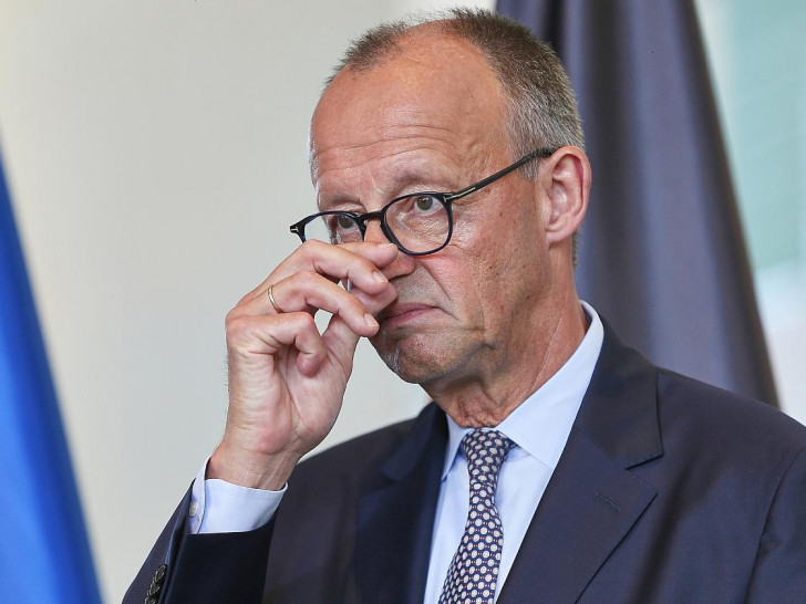 Friedrich Merz (Archiv)
