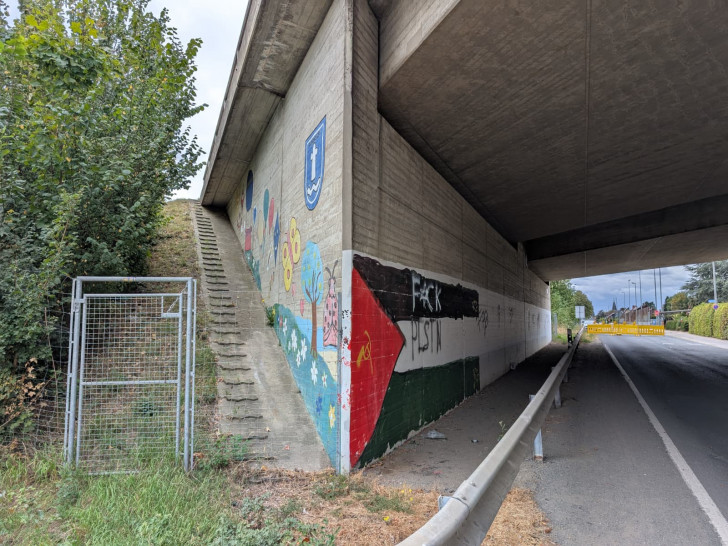 Die Schmierereien an der Brücke bei Fümmelse sollen weg. 
