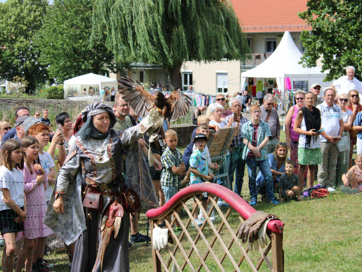 Auch Greifvögel kann man bei den GutsTagen bewundern.