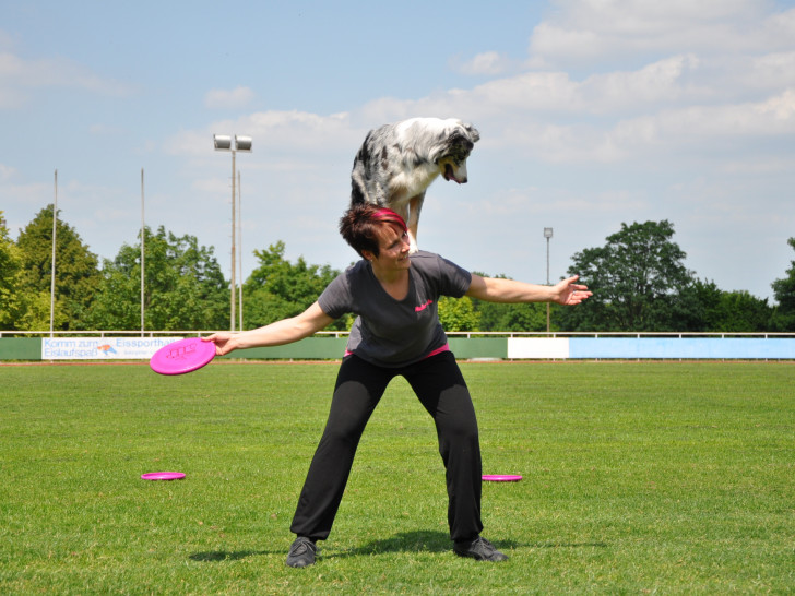 Beim Dog Frisbee haben Hund und Halter Spaß.