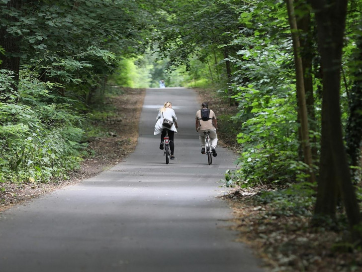 Fahrradfahrer im Wald (Archiv)