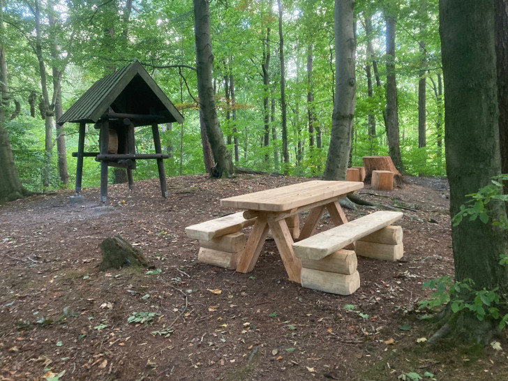 Die neuen Holzbänke am Walderlebnispfad laden schon zum Verweilen ein.