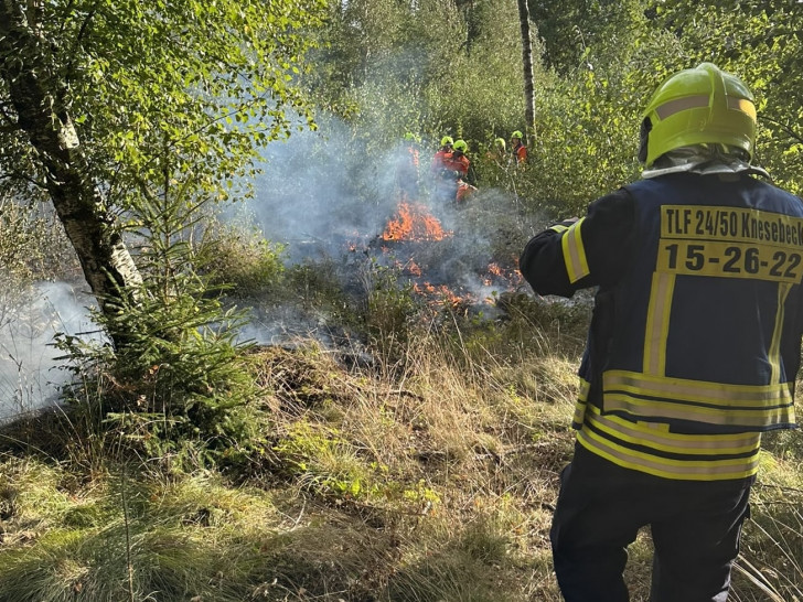 Insgesamt kämpften 35 Einsatzkräfte gegen das Feuer.