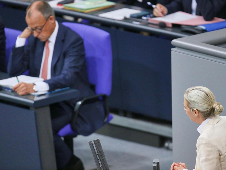 Friedrich Merz und Alice Weidel (Archiv)