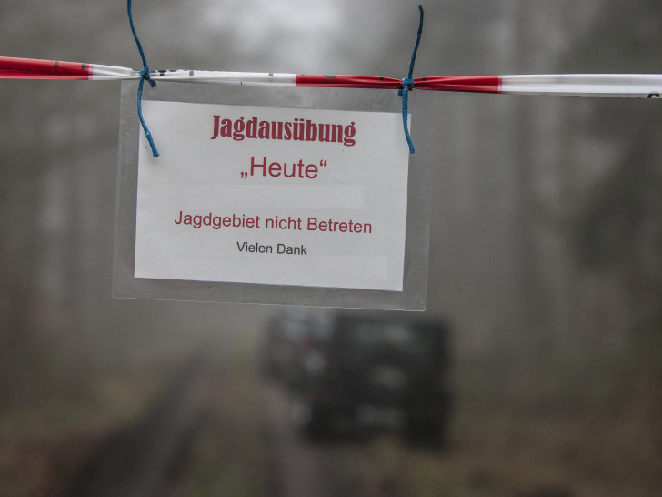 Im Barnbruch wird gejagt: Waldbesucher müssen sich auf Einschränkungen einstellen.