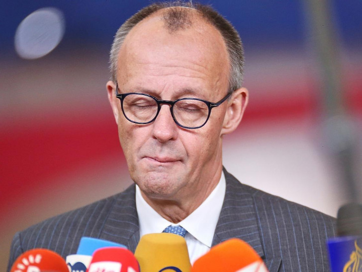 Friedrich Merz (Archiv)