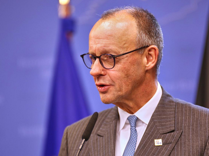 Friedrich Merz (Archiv)