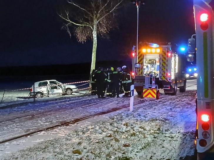 Aus diesem alleinbeteiligt verunfallten PKW rettete die Feuerwehr die Fahrerin und einen Hund.
