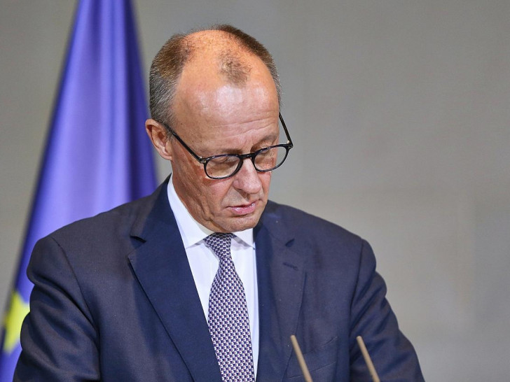 Friedrich Merz (Archiv)