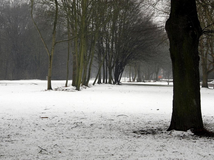 Winterlandschaft (Archiv)