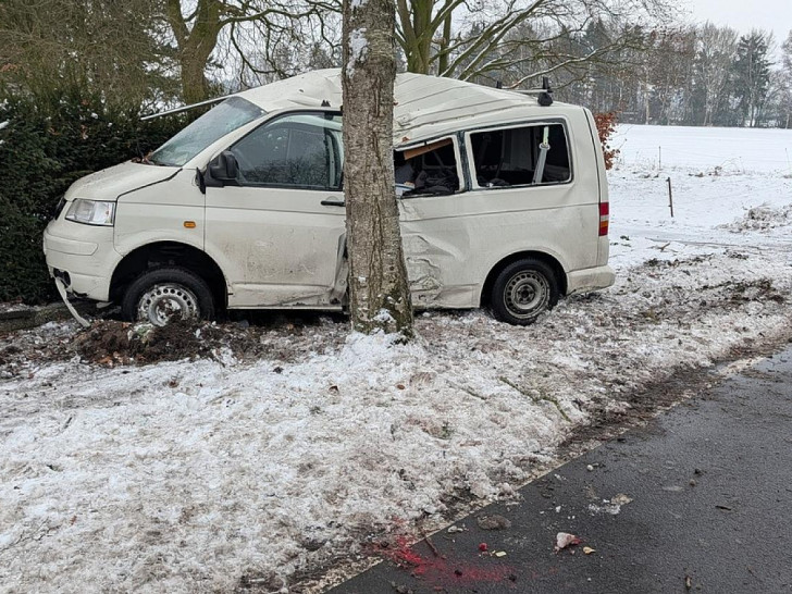 VW-Bus am Baum (Archiv)