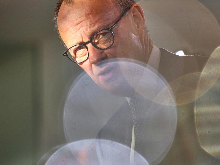 Friedrich Merz (Archiv)